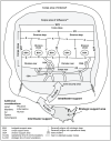 Figure 3-4. Notional corps deep, close, and rear areas with contiguous divisions