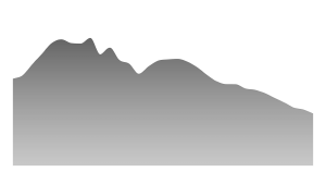 Number of Prisoners in Russia